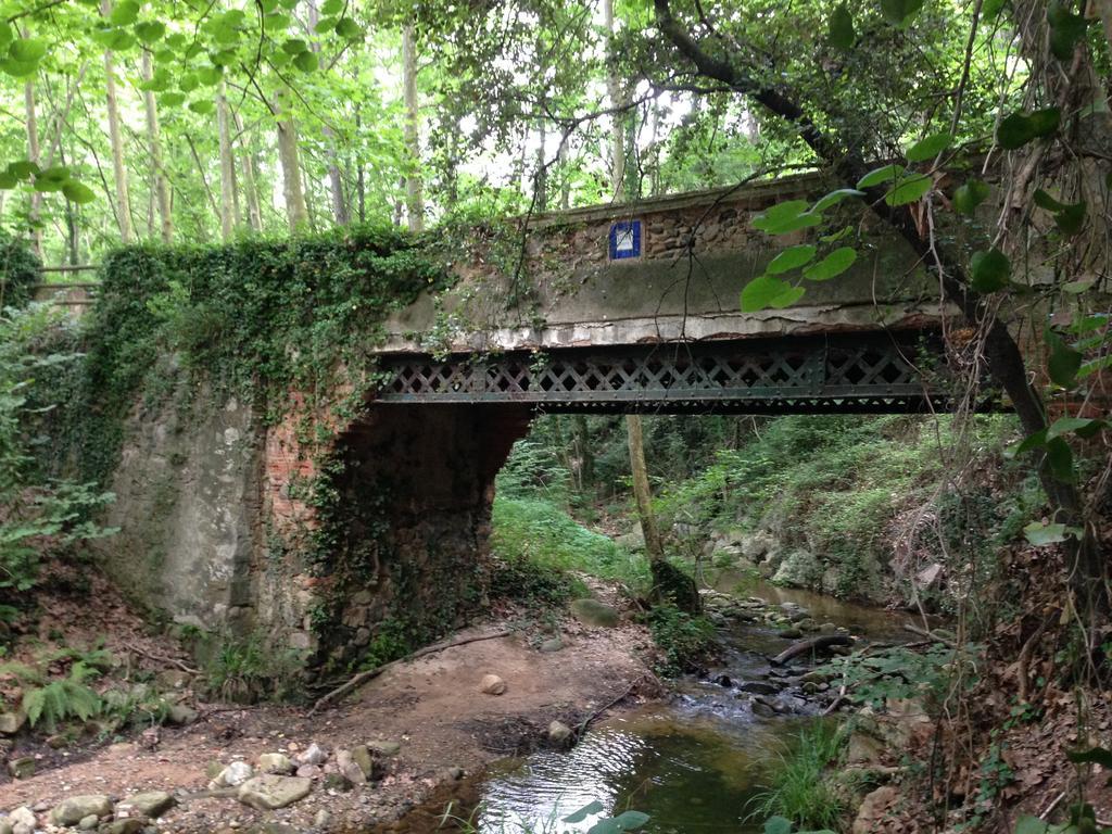 Apartaments Rural Montseny Gualba de Dalt Ngoại thất bức ảnh