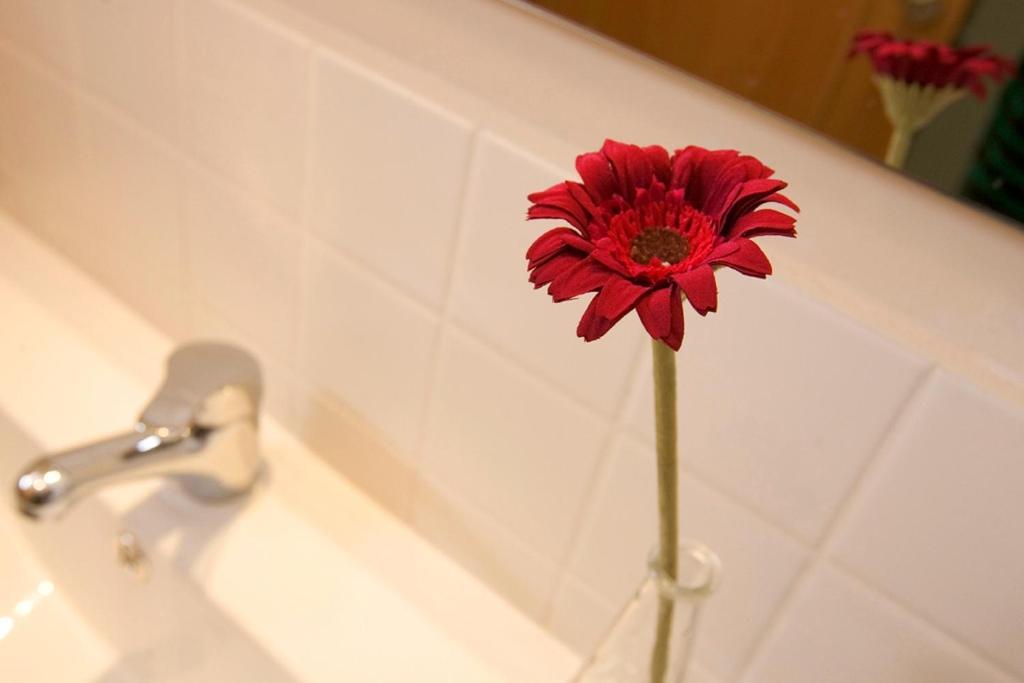 Apartaments Rural Montseny Gualba de Dalt Ngoại thất bức ảnh