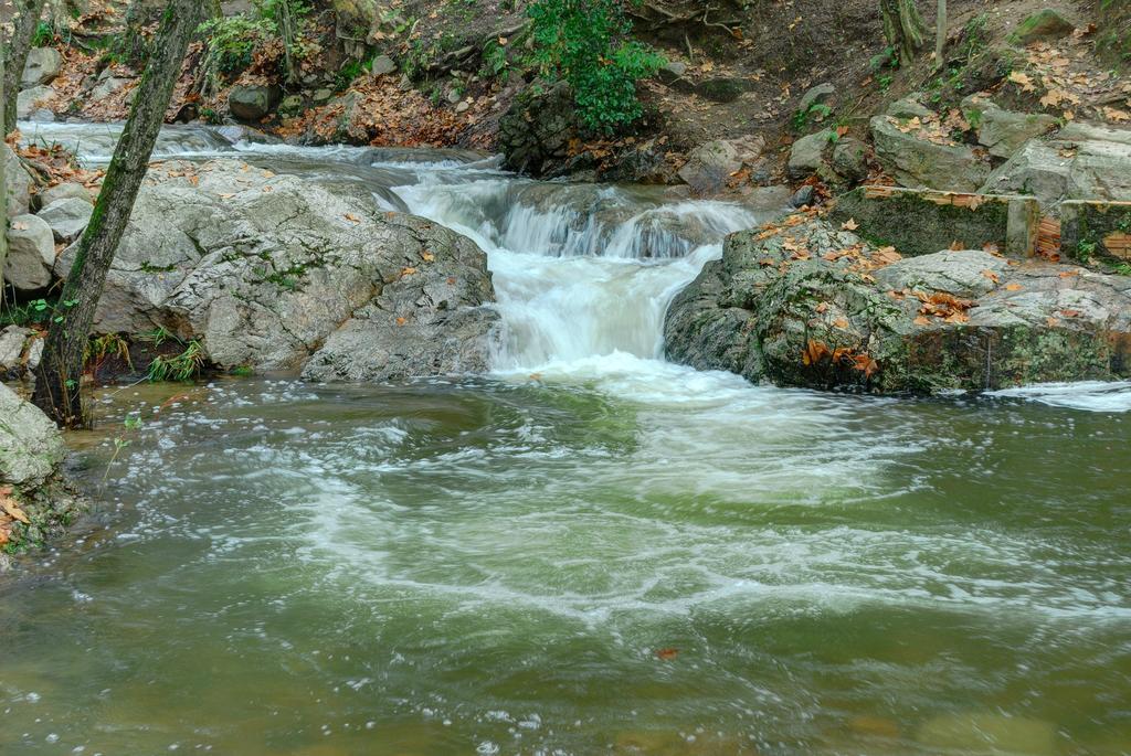 Apartaments Rural Montseny Gualba de Dalt Ngoại thất bức ảnh