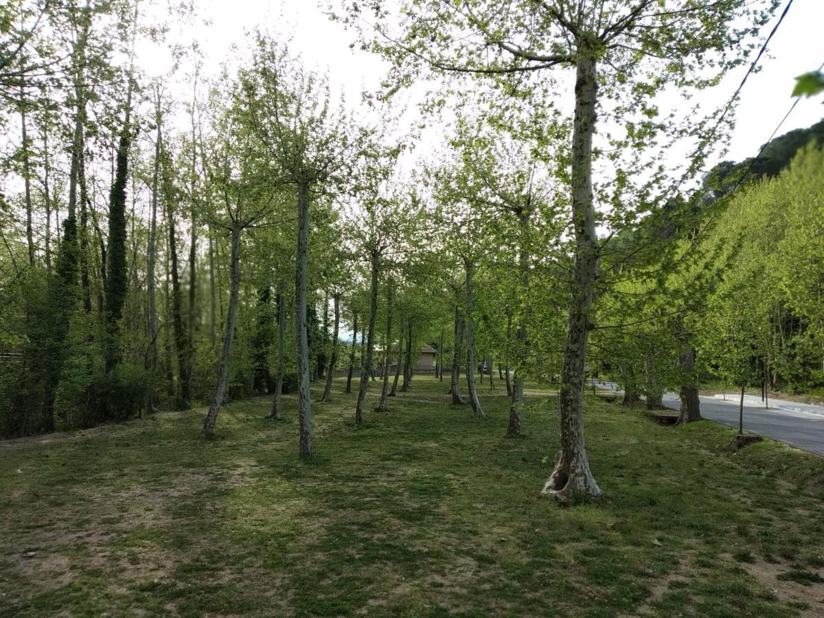 Apartaments Rural Montseny Gualba de Dalt Ngoại thất bức ảnh
